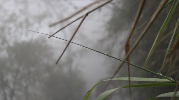 作伙來去北大武304502