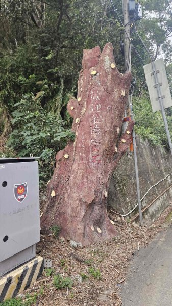 20251226糖塔山-埤塘窩山-石頭坑山2969768