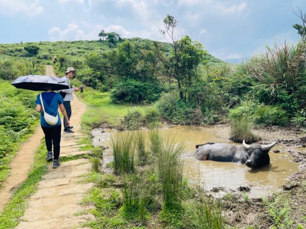 1140621冷水坑-擎天崗-石梯嶺2817700