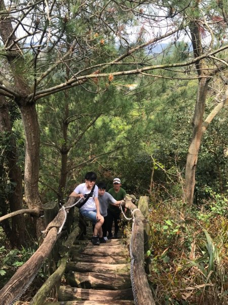 頭嵙山攻頂577433