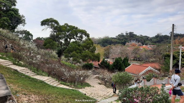 《彰化》花景第一排｜花壇虎山巖後山步道202402242436722