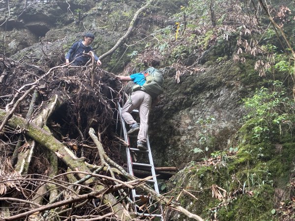 《走進人倫林道深處｜西巒大山三天兩夜・在森林裡慢慢前行》3085926