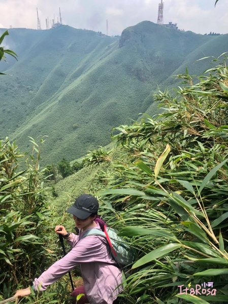 小觀音山 台北版抹茶山尋幽2339971