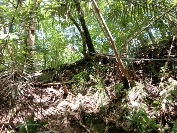 平溪區灰窯山驚險岩稜+司公碗帽山O型2897926