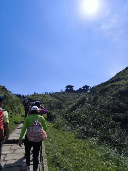 20251108草嶺古道2936131