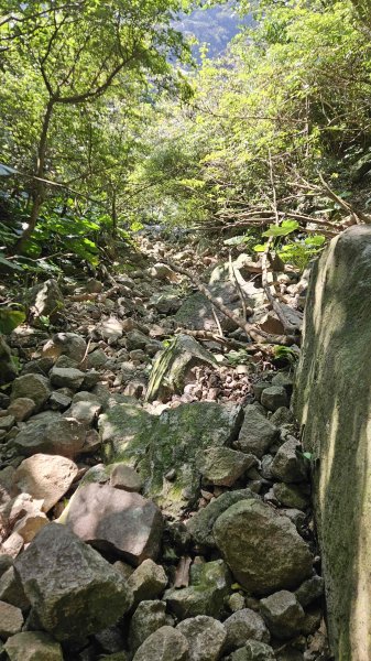 20260115基隆山主東峰2982663