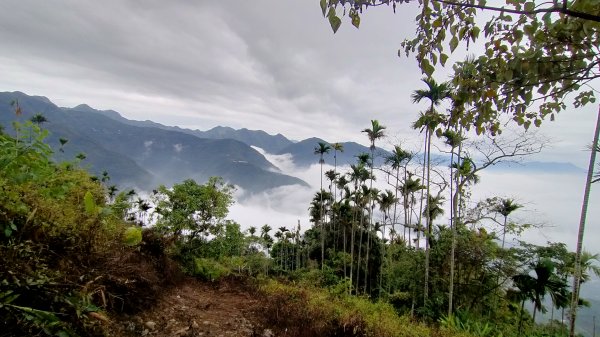 阿拔泉山稜線步道雲海1561752