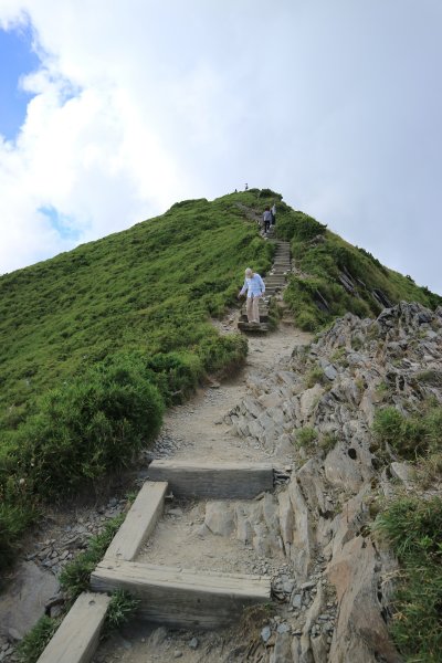 武嶺拍鳥順遊石門山及合歡尖山704440