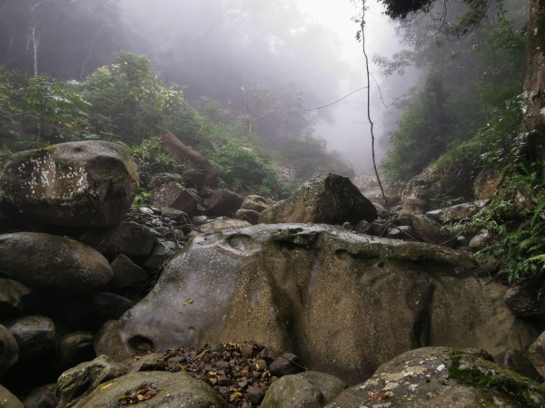 烈日中的濕意森旅-騰湳加O繞-12/201214315