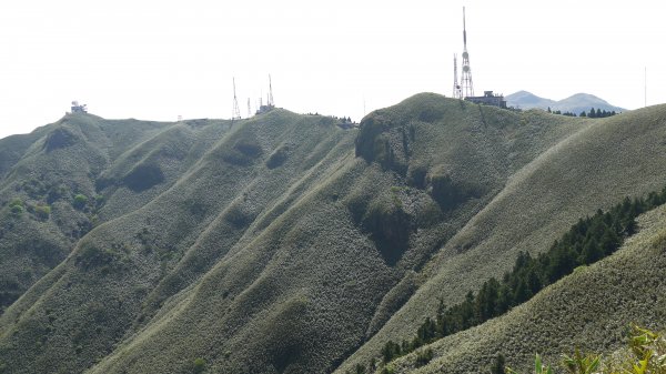 小觀音山登山健行趣(郊山)1680194