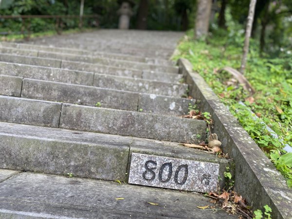 台北大縱走2026｜一天解鎖7顆寶石💎還嚕到4隻貓！第七段｜指南宮千階梯→貓空→樟湖步道→樟山寺3021784