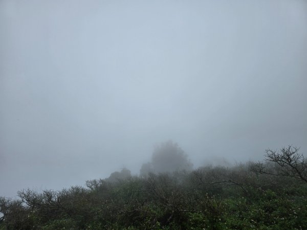 馬那邦山之雲海／雲瀑／楓紅／太陽琉璃光2668321