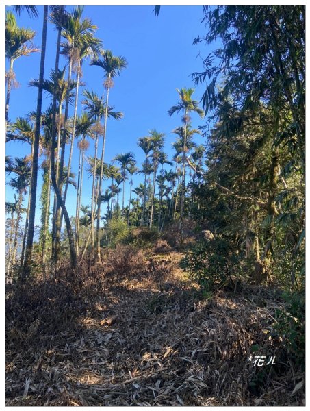 雨後頭縱走 (日月潭)2694404