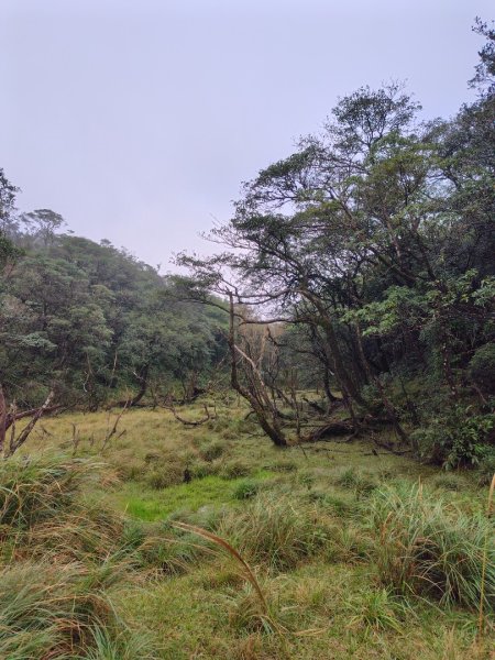 渭水之丘 烘爐地山 抹茶山 三角崙山2938739