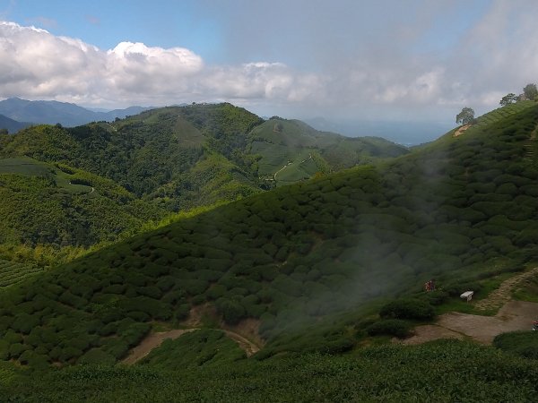 小百岳：嶺子腳山(太平山)1184391