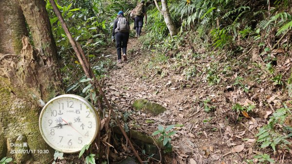 20260117淡蘭北路三段隆嶺古道+雪山尾稜北段+福卯古道大O走2990083