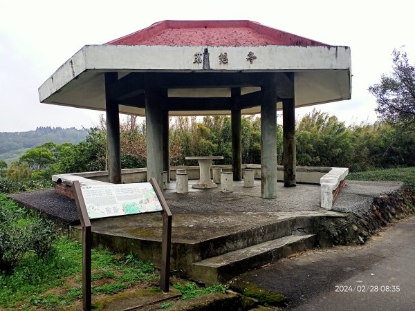 大安森林公園、桃園楊梅秀才登山步道走春趣2441996