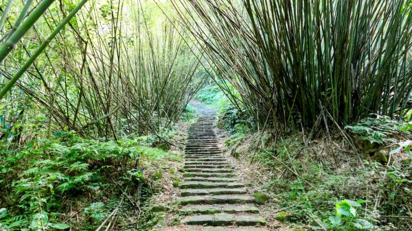 溪和宮,大尖山,擎天崗2822940
