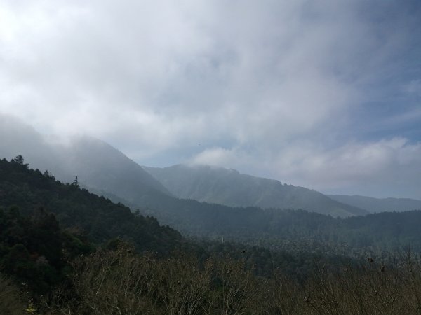 溪頭鳳凰山步道803729