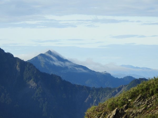 合歡南峰連走合歡主峰 優閒賞花 2022 07 171767747