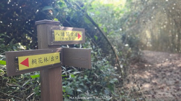 《南投》古道巡禮｜八通關古道社寮線蜈蚣崙段202511152937037
