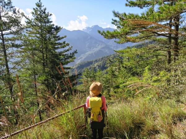 卯木山 （合歡越嶺古道）拜訪山頂森林瞭望台1462294