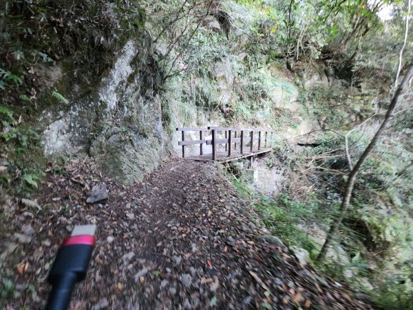 20241124布奴加里山2679103