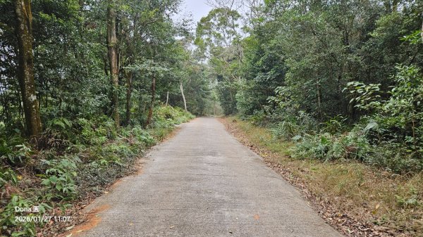 20260127三通嶺山.三義山(大桁茂山).慈濟山.大坪山大O走2989912