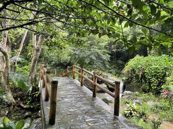 台北大縱走第四段2798730