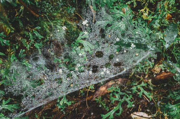 十七歲少女之湖｜松蘿湖包場露營1408700