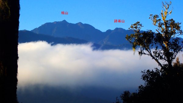 五星級松針步道的平多縱走2837834