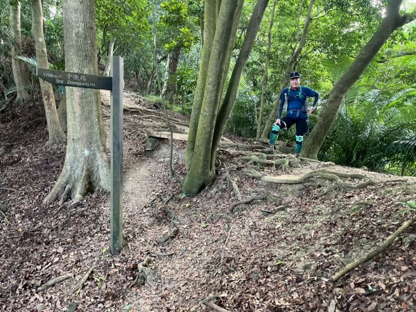 土城頂埔捷運站-大暖尖山-火焰山-承天路-石壁寮溪棧道-永寧捷運站2896420