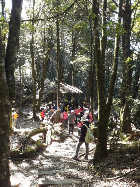 台中鞍馬山船型山蹤走20191124748512