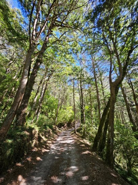 20240714🌞嘉明湖國家步道-向陽山⛰️2551340