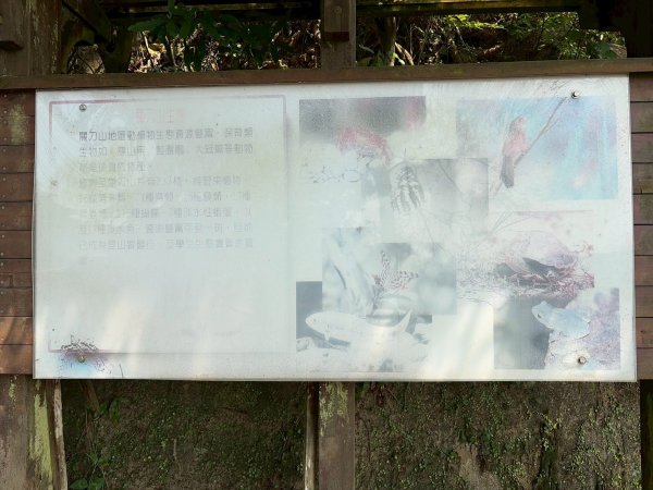 苗栗 三義 關刀山西北峰 關刀山3033643