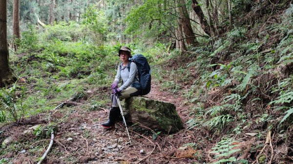 干卓萬群峰五天1141001~052906188