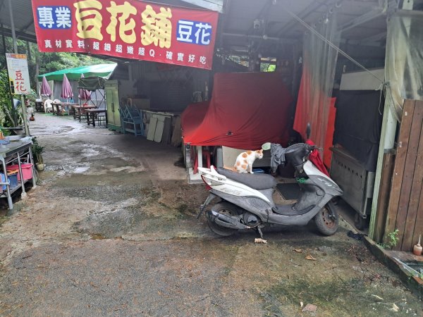 桃園石門山步道3111724
