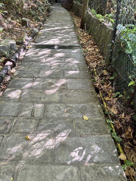 天母古道 + 紗帽山2913880