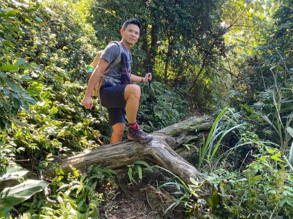 金面山.金山面山.十三份山.山麻坑山【暗藏玄機 不容你小覷的郊山縱走】2384838