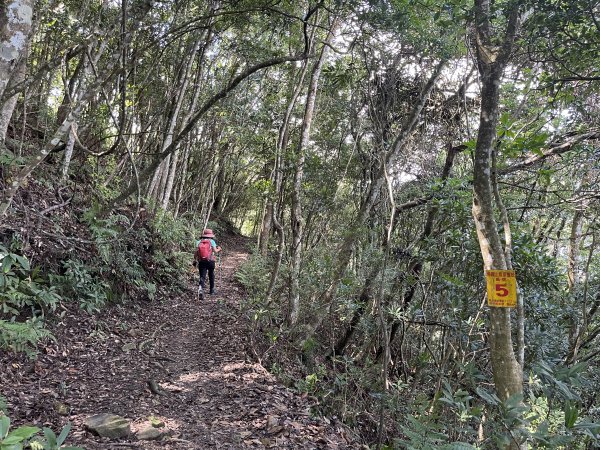 鳥嘴山(上島山) 202308132247100