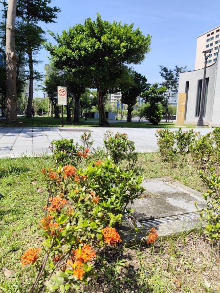 宏匯瑞光廣場、大港墘公園、基隆廟口夜市、基隆港高空煙火秀2796418