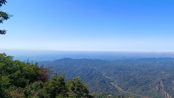 暗影山（酒桶山）台中小百岳2041972