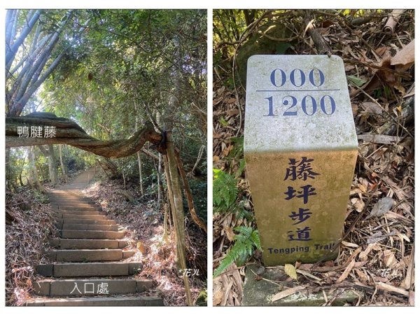 獅山五連峰 (猿山、六寮山、獅尾山、獅頭山、玖玖山)2871315