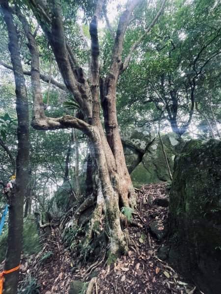 油羅山 2025 09/132890044