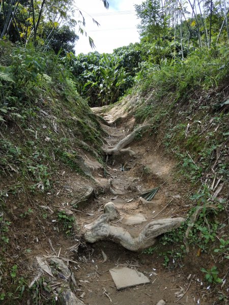 臺北大縱走第六段：中華科技大學至捷運麟光站1677251