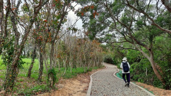 《新竹》城市微旅｜青青草原及香山濕地賞蟹步道202112121547121