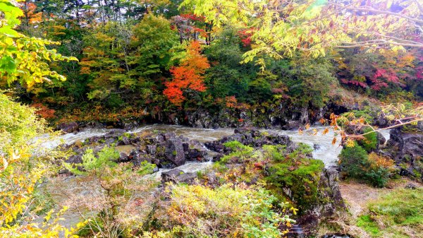 岩手縣嚴美溪2930226