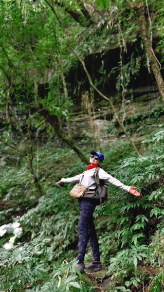 東勢大崙、東勢坑山、觀音湖山O走2986294
