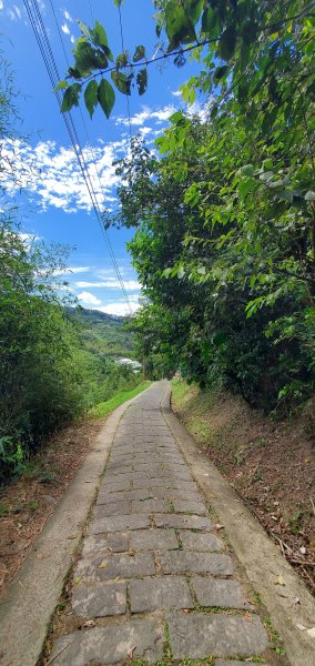 2024-06-15觀音山【福隆山、尖山(占山)登山步道】O走2528192