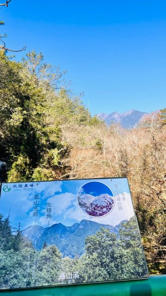 🌈2/16(日)-17(一)福壽山+武陵農場賞櫻🌈🌸FB：熊熊趴爬走 歡迎加入2714881